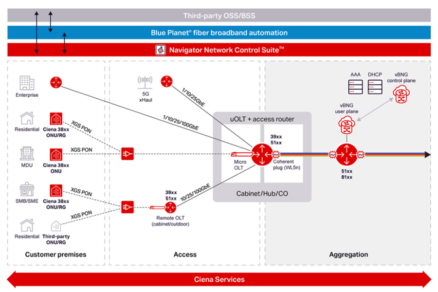 What is Ciena, and how does it unlock the value of networking?