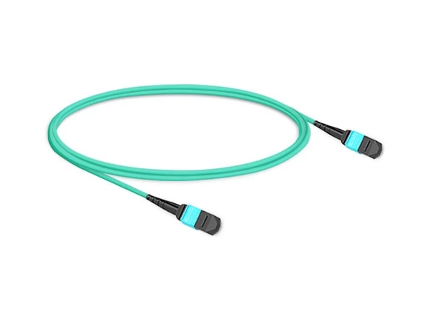 MTP trunk cable 1