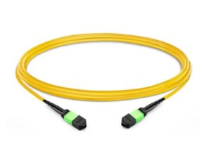 MTP trunk cable elite