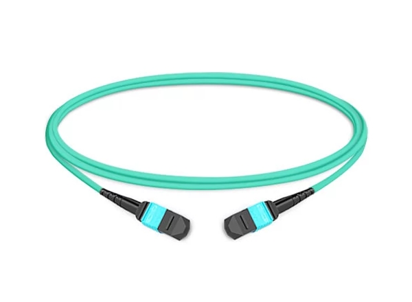 MTP trunk cable