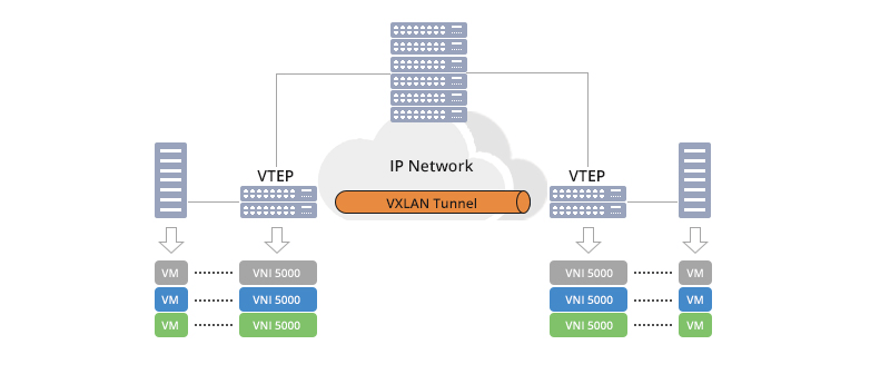 VXLAN Tunnel Endpoint (VTEP)