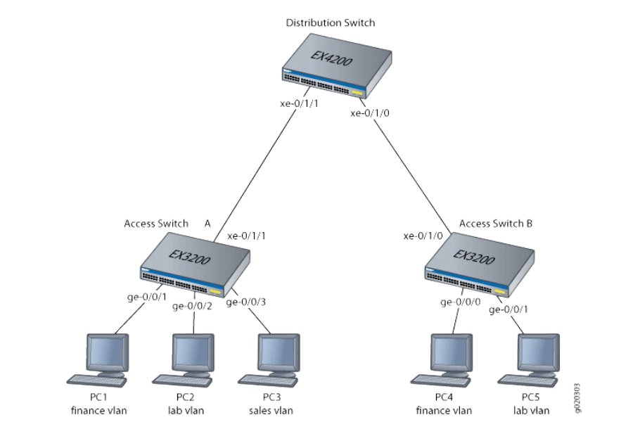 How Do Access Switches Fit Into the Hierarchical Network Model?