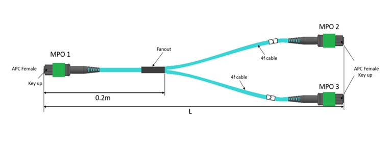 Fiber Types