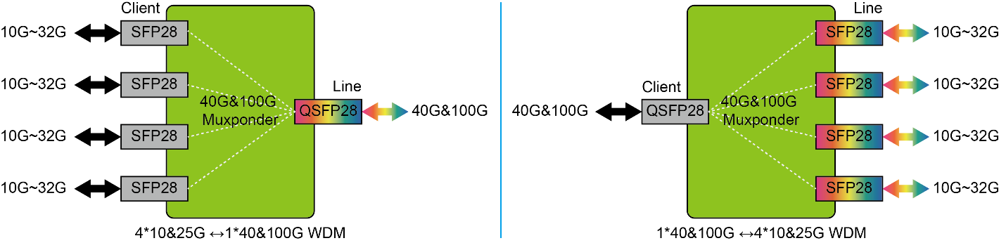 40G/100G Muxponder OEO Card 4 Channels QSFP28 | FiberMall