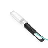 Extreme 10GB-F01-SFPP Compatible 1m (3ft) 10G SFP+ to SFP+ Active Optical Cable