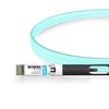 Arista Networks AOC-S-S-10G-3M Compatible 3m (10ft) 10G SFP+ to SFP+ Active Optical Cable