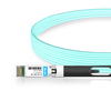 Arista Networks AOC-S-S-10G-10M Compatible 10m (33ft) 10G SFP+ to SFP+ Active Optical Cable