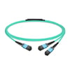 3m (10ft) 16 Fibers Low Insertion Loss Female to Female MPO16 to 2xMPO8 Polarity B APC to APC LSZH Multimode OM3 50/125