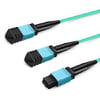 3m (10ft) 16 Fibers Low Insertion Loss Female to Female MPO16 to 2xMPO8 Polarity B APC to APC LSZH Multimode OM3 50/125