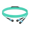 10m (33ft) 16 Fibers Low Insertion Loss Female to Female MPO16 to 2xMPO8 Polarity B APC to APC LSZH Multimode OM3 50/125