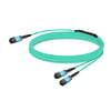 10m (33ft) 16 Fibers Low Insertion Loss Female to Female MPO16 to 2xMPO8 Polarity B APC to APC LSZH Multimode OM3 50/125