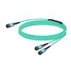 15m (49ft) 16 Fibers Low Insertion Loss Female to Female MPO16 to 2xMPO8 Polarity B APC to APC LSZH Multimode OM3 50/125