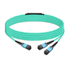 30m (98ft) 16 Fibers Low Insertion Loss Female to Female MPO16 to 2xMPO8 Polarity B APC to APC LSZH Multimode OM3 50/125