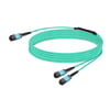 30m (98ft) 16 Fibers Low Insertion Loss Female to Female MPO16 to 2xMPO8 Polarity B APC to APC LSZH Multimode OM3 50/125