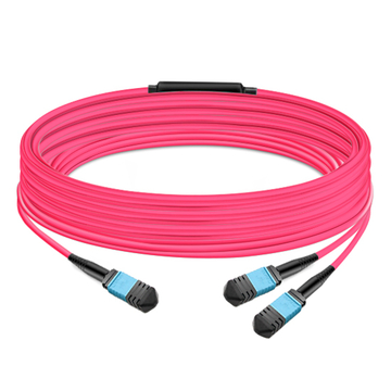 50m (164ft) 16 Fibers Low Insertion Loss Female to Female MPO16 to 2xMPO8 Polarity B APC to APC LSZH Multimode OM4 50/125