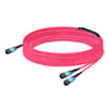 50m (164ft) 16 Fibers Low Insertion Loss Female to Female MPO16 to 2xMPO8 Polarity B APC to APC LSZH Multimode OM4 50/125