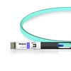 10G SFP+ to SFP+ 850nm 1m Immersion Liquid Cooling Active Optical Cable