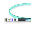 10G SFP+ to SFP+ 850nm 10m Immersion Liquid Cooling Active Optical Cable