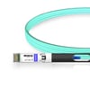 10G SFP+ to SFP+ 850nm 50m Immersion Liquid Cooling Active Optical Cable