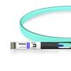 25G SFP28 to SFP28 850nm 50m Immersion Liquid Cooling Active Optical Cable