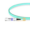 100G QSFP28 to QSFP28 850nm 1m Immersion Liquid Cooling Active Optical Cable