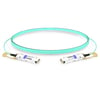 100G QSFP28 to QSFP28 850nm 5m Immersion Liquid Cooling Active Optical Cable