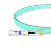 100G QSFP28 to QSFP28 850nm 50m Immersion Liquid Cooling Active Optical Cable