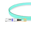 100G QSFP28 to QSFP28 850nm 100m Immersion Liquid Cooling Active Optical Cable